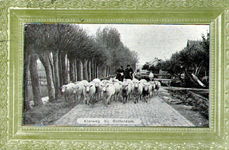 PBK-1987-721 Kudde schapen op de Kleiweg.
