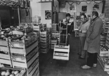 1982-915 Distributie van fruit in de Industrieweg, Groothandelsmarkt in de Spaanse Polder.
