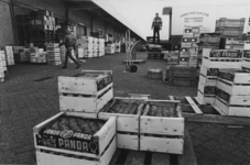 1982-918 Fruitkisten verzendklaar voor transport, Groothandelsmarkt (Spaanse Polder) in de Industrieweg.