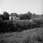 1984-2138 Tuin achter het huis, vanaf de Kralingse Zoom naar de 's-Gravenweg nummer 348.
