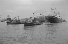 1990-1557 De Nieuwe Maas.Schepen bij de dokken van scheepswerf Wilton-Feijenoord in Schiedam.