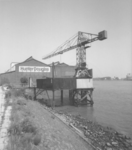 1996-1859 Gezicht vanaf Feijenoord op de Nieuwe Maas met aan de overzijde de watertoren aan de Watertorenweg in wijk de Esch.