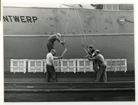 1967-137 Vier mannen zijn aan het werk in de Rotterdamse haven.