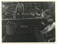 1984-2429 Bootwerkers bezig met het hijsen van kolen in een mand.