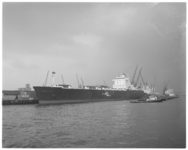 12902 Containerschip ss Atlantic Crown aan de Wilhelminakade bij de HAL.