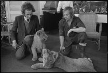 24736-6-3 Twee jonge leeuwen in Diergaarde Blijdorp met dierentuinmedewerkers.
