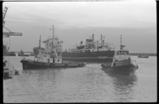3016-2 Zeeschip 'Tweelingen' nadert de kade, geassisteerd door diverse havensleepboten, en gaat aanleggen bij Mülller-Hanno.