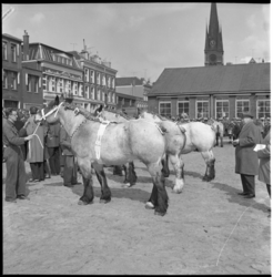 6154 Rij paarden met handelaren tijdens de 92e Paasveetentoonstelling op het Veemarktterrein..