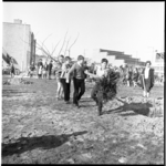 7847-2 Jongeren sjouwen met boom+kluit tijdens Boomfeestdag 1965 op de Pascalweg in Lombardijen.