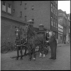7888-2 Gereedmaken van koetsje en twee paarden voor de stalhouderij van Van Leeuwen in de Gouvernestraat.