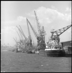8755-3 Havenkade met walkranen en afgemeerde zeeschepen in de Waalhaven; laden en lossen van binnenvaart en zeeschepen, ...