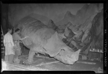THO-191 Onder leiding van professor I.M. van der Vlerk maken stukadoors een triceratops voor een 'paviljoen van de ...