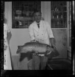 THO-3212 Sportvisser J.H. Spit laat een baars van 28 pond zien die hij ving in de Nieuwkoopse Plassen. Spit houdt de ...