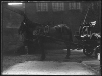 2007-2565-05 Een voor een wagen gespannen paard op de wagenplaats van de firma Tromp en Rueb, Azijnmakerij 'De Dubbele ...