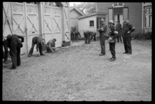 1980-5708-1 Gevangen genomen NSB'ers moeten onkruid wieden bij Lommerrijk. Leden van de Binnenlandse Strijdkrachten ...