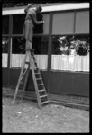 1980-5709 Een gearresteerde NSB'er slaat op een ladder om verduisteringsverf te verwijderen van de ramen van een gebouw ...