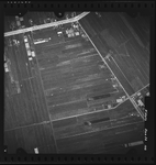 FD-4299-103 Verticale luchtfoto van de Prins Alexanderpolder met de Hoofdweg, Capelseweg en de boerderijen Semiramis, ...