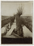 1969-253 De Hoekplankjes in de Nieuw Mathenesse-polder met op de achtergrond de Mathenesserdijk.