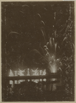 XXXIII-160 Vuurwerk aan de Maas bij de Kroningsfeesten die gehouden werden van 31 augustus tot 6 september 1898 in Rotterdam.