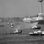 1972-1960 Parkhaven met de sleepboten gezien vanaf het Charloisse Hoofd. Op de achtergrond links de Parksluizen en ...