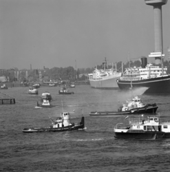 1972-1960 Parkhaven met de sleepboten gezien vanaf het Charloisse Hoofd. Op de achtergrond links de Parksluizen en ...
