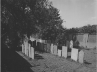 1981-7 Grafzerken op de Nederlands Israëlitische Begraafplaats. Op de achtergrond het gebouw van de Kappers Academie.