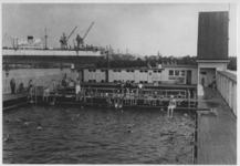 1986-1829 Zwembad in Tuindorp Heijplaat, met links achter het Prins Bernharddok nr. 8 van de R.D.M.