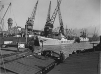 XIV-330-01 Thomsen's Havenbedrijf aan de Lekhaven.