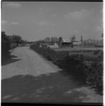 19095 Een onverharde weg met aan de rechterkant moestuinen, mogelijk bij de Smithoekseweg. Foto in noordwestelijke ...