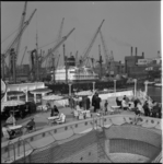 21119 Zicht op enkele schepen van de Koninklijke Rotterdamsche Lloyd en hijskranen in de Schiehaven. Op de voorgrond ...