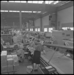 3628 Vrouwen werken aan een lopende band bij de Van Melle's Biscuits- & Toffeefabrieken N.V. aan de Olympiaweg.