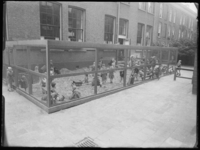 L-1614 Op een speelplaats in de Boomgaardsstraat spelen kinderen in een kooi met zandbak.