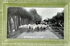 PBK-1987-721 Kudde schapen op de Kleiweg.