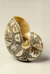 PBK-1991-188 Een versierde schelp uit de verzameling van het Historisch Museum Rotterdam.