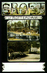 PBK-1993-376 Prentbriefkaart met twee verschillende afbeeldingen van de Rotterdamsche Diergaarde aan de ...