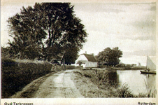 PBK-1993-476 Terbregse Rechter Rottekade, voor de lintbebouwing, het witte huis is de boerderij van I. Bevaart.