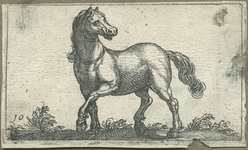 1976-3079 Prent (ets, gravure) met een voorstelling van een paard, het hoofd naar achteren gewend. Deze prent is ...
