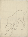 1976-3309 Tekening (pen in bruine inkt over potlood) met een voorstelling van een staande hond, met de kop links naar ...