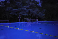 2012-21 Duiker staat op de rand van het buitenbad van het zwembad Sportfondsen Rotterdam Noord, het Van Maanenbad. De ...