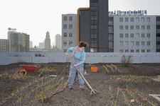 2013-18 Vrouw met een hark op de dakakker van het Schiekadeblok. Op de achtergrond onder andere het stadhuis. De foto ...