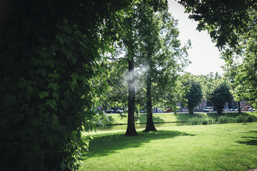 2014-42 Recreatieveld met bomen langs singel in Delfshaven. De foto is gemaakt in opdracht van De Kracht van Rotterdam ...