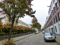 2023-35-10 Tweebosstraat in Afrikaanderwijk vanuit de Riebeekstraat met wijkparkje in herfstkleuren.