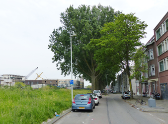 2023-35-28 De beboomde Hilledijk in de Tweebosbuurt met links de nieuwbouw op het oude terrein van de tramremise ...