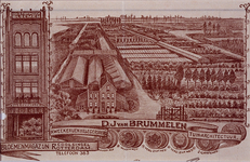 1972-1819 Reclamedrukwerk van een briefhoofd van de kwekerijen van D.J. van Brummelen, aan de Kleiweg nummer 90. Tevens ...