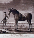 RI-1332 Malle Jan, het snelste paard van Europa.