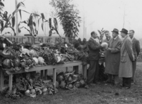 1972-738 Produktieslag, een tentoonstelling van tuinproducten die op het door het Duitse bombardement verwoeste gebied ...