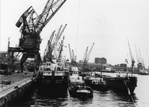 1974-1719 Merwehaven met hijskranen en schepen. Op de achtergrond rechts huizen aan de Schiedamseweg.