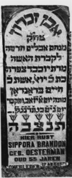 1974-4726 Een grafzerk op de Israëlitische begraafplaats aan het Toepad, rij 7 nummer 32.