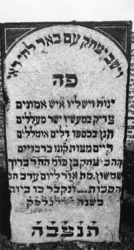 1974-4778 Een grafzerk op de Israëlitische begraafplaats aan het Toepad, rij 9 nummer 14.