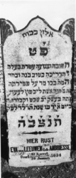 1974-4783 Een grafzerk op de Israëlitische begraafplaats aan het Toepad, rij 9 nummer 19.